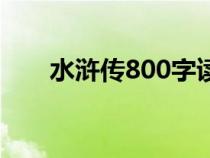 水滸傳800字讀后感（800字讀后感）