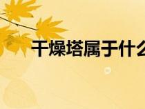 干燥塔屬于什么容器（什么是干燥塔）