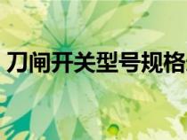 刀閘開關(guān)型號(hào)規(guī)格選型(刀閘是否開關(guān)一種) 刀閘開關(guān)型號(hào)規(guī)格選型(刀閘是否開關(guān)一種)