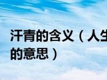 汗青的含義（人生自古誰無死留取丹心照汗青的意思）