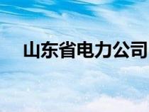 山東省電力公司電話（山東省電力公司）