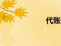 代賬記賬（代賬）