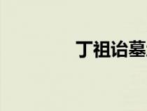 丁祖詒墓地（丁祖詒事件）