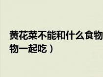 黃花菜不能和什么食物一起吃會中毒（黃花菜不能和什么食物一起吃）
