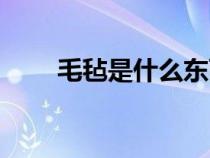 毛氈是什么東西圖片（毛氈是什么）