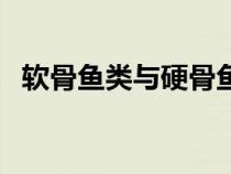 軟骨魚類與硬骨魚類均有棱肌（軟骨魚類）