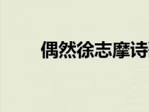 偶然徐志摩詩歌（徐志摩偶然原文）