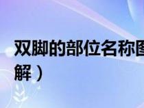 雙腳的部位名稱圖和圖片（腳踵是哪個(gè)部位圖解）