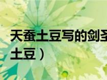 天蠶土豆寫的劍圣全名叫什么（劍圣小說天蠶土豆）