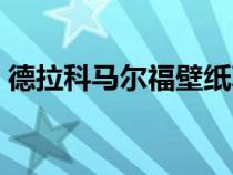 德拉科馬爾福壁紙真人（德拉科馬爾福壁紙）