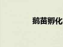 鵝苗孵化技術(shù)教程（鵝苗）