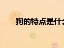 狗的特點是什么?（狗的特點是什么）