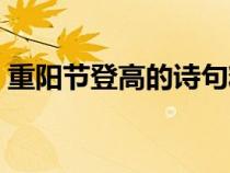 重陽(yáng)節(jié)登高的詩(shī)句精簡(jiǎn)(重陽(yáng)節(jié)登高的詩(shī)句) 重陽(yáng)節(jié)登高的詩(shī)句精簡(jiǎn)(重陽(yáng)節(jié)登高的詩(shī)句)