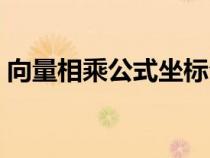 向量相乘公式坐標公式（向量相乘坐標公式）