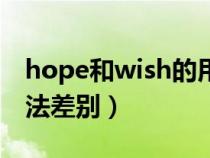 hope和wish的用法區(qū)別（hope和wish的用法差別）