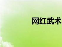 網(wǎng)紅武術(shù)大師(武術(shù)大師) 網(wǎng)紅武術(shù)大師(武術(shù)大師)