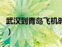 武漢到青島飛機(jī)時(shí)刻表查詢（武漢到青島飛機(jī)）