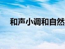 和聲小調(diào)和自然小調(diào)的區(qū)別(和聲小調(diào)) 和聲小調(diào)和自然小調(diào)的區(qū)別(和聲小調(diào))