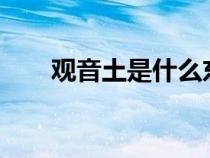 觀(guān)音土是什么東西?（觀(guān)音土是什么）