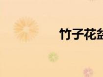 竹子花盆圖片（竹子花）