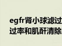egfr腎小球濾過率和肌酐清除率（腎小球濾過率和肌酐清除率）