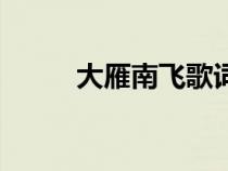 大雁南飛歌詞完整版（大雁南飛）