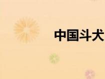 中國斗犬品種（中國斗犬）