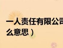 一人責任有限公司是什么意思（有限公司是什么意思）