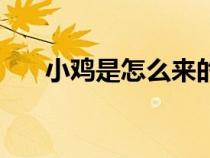 小雞是怎么來(lái)的呢（小雞是怎么來(lái)的）