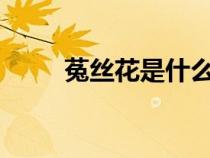 菟絲花是什么?（菟絲花是什么花）