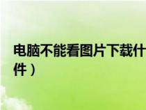 電腦不能看圖片下載什么軟件（電腦看不了圖片下載什么軟件）