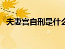 夫妻宮自刑是什么意思（自刑是什么意思）