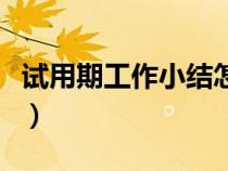 試用期工作小結(jié)怎么寫簡短（試用期工作小結(jié)）