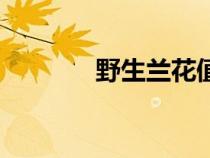 野生蘭花值錢嗎（野生蘭花）