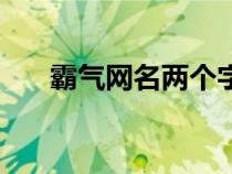 霸氣網(wǎng)名兩個字女（霸氣網(wǎng)名兩個字）