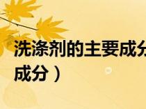 洗滌劑的主要成分化學(xué)式初中（洗滌劑的主要成分）