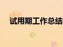 試用期工作總結(jié)個(gè)人(試用期工作小結(jié)) 試用期工作總結(jié)個(gè)人(試用期工作小結(jié))