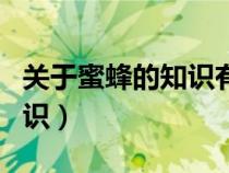 關(guān)于蜜蜂的知識有哪些三年級(關(guān)于蜜蜂的知識) 關(guān)于蜜蜂的知識有哪些三年級(關(guān)于蜜蜂的知識)