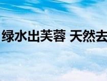 綠水出芙蓉 天然去雕飾的意思（雕飾的意思）