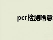 pcr檢測啥意思（pcr檢查是什么）