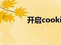 開啟cookies（開啟cookie）