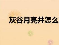 灰谷月亮井怎么取水(灰谷月亮井地圖) 灰谷月亮井怎么取水(灰谷月亮井地圖)