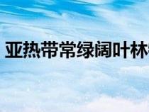 亞熱帶常綠闊葉林特點(diǎn)（亞熱帶常綠闊葉林）
