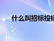 什么叫招標(biāo)投標(biāo)人（什么叫招標(biāo)投標(biāo)）