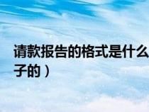 請款報告的格式是什么樣子的呢（請款報告的格式是什么樣子的）