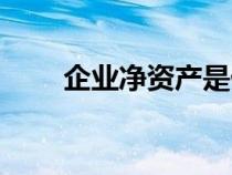 企業(yè)凈資產(chǎn)是什么(凈資產(chǎn)是什么) 企業(yè)凈資產(chǎn)是什么(凈資產(chǎn)是什么)