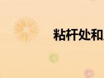 粘桿處和血滴子（粘桿處）