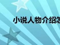 小說人物介紹怎么寫模板（小說人物）