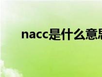 nacc是什么意思籃球（NACC是什么）