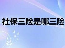 社保三險是哪三險一金（社保三險是哪三險）